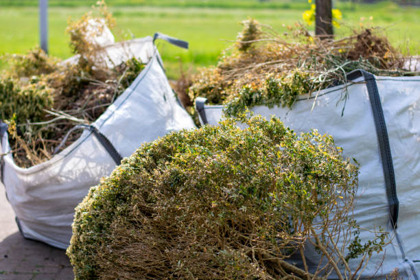 Best Trash Removal Near Me  in Lino Lakes, MN